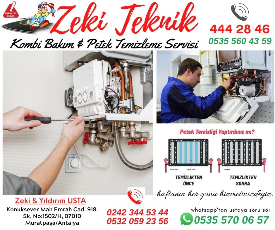 antalya-petek-temizleme