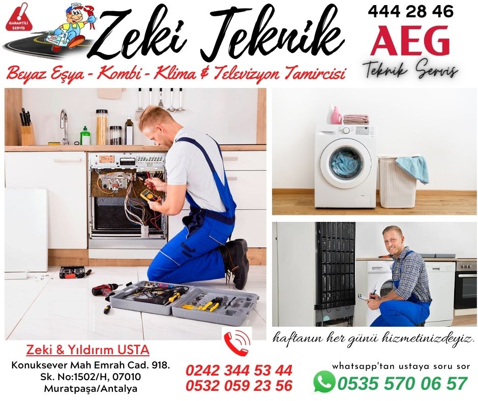 antalya-aeg-servisi